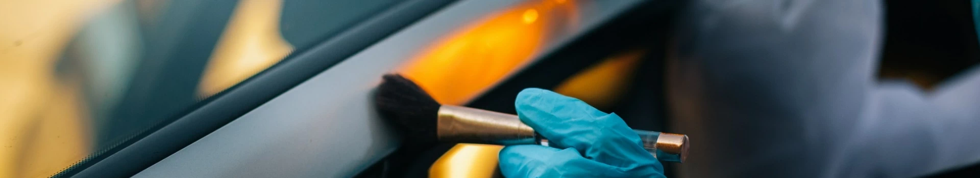 pędzelek ze złotą rączką